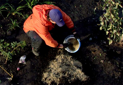 почва для гиацинтов
