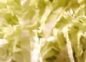 salat iz kapusty na zimu s lukom recept cc20cdc